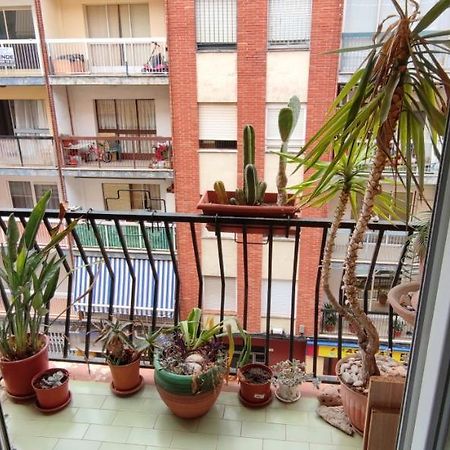 Dormitorios Piso Gandía Exteriér fotografie