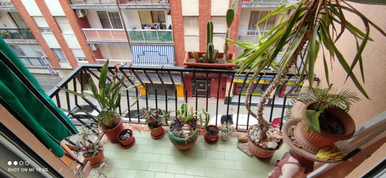 Dormitorios Piso Gandía Exteriér fotografie